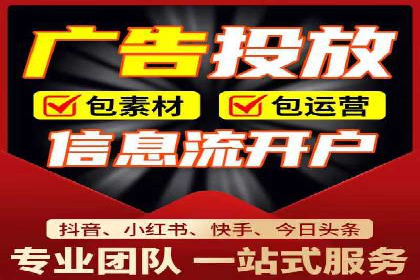 不同平台的SEM广告投放比较及成功案例分析